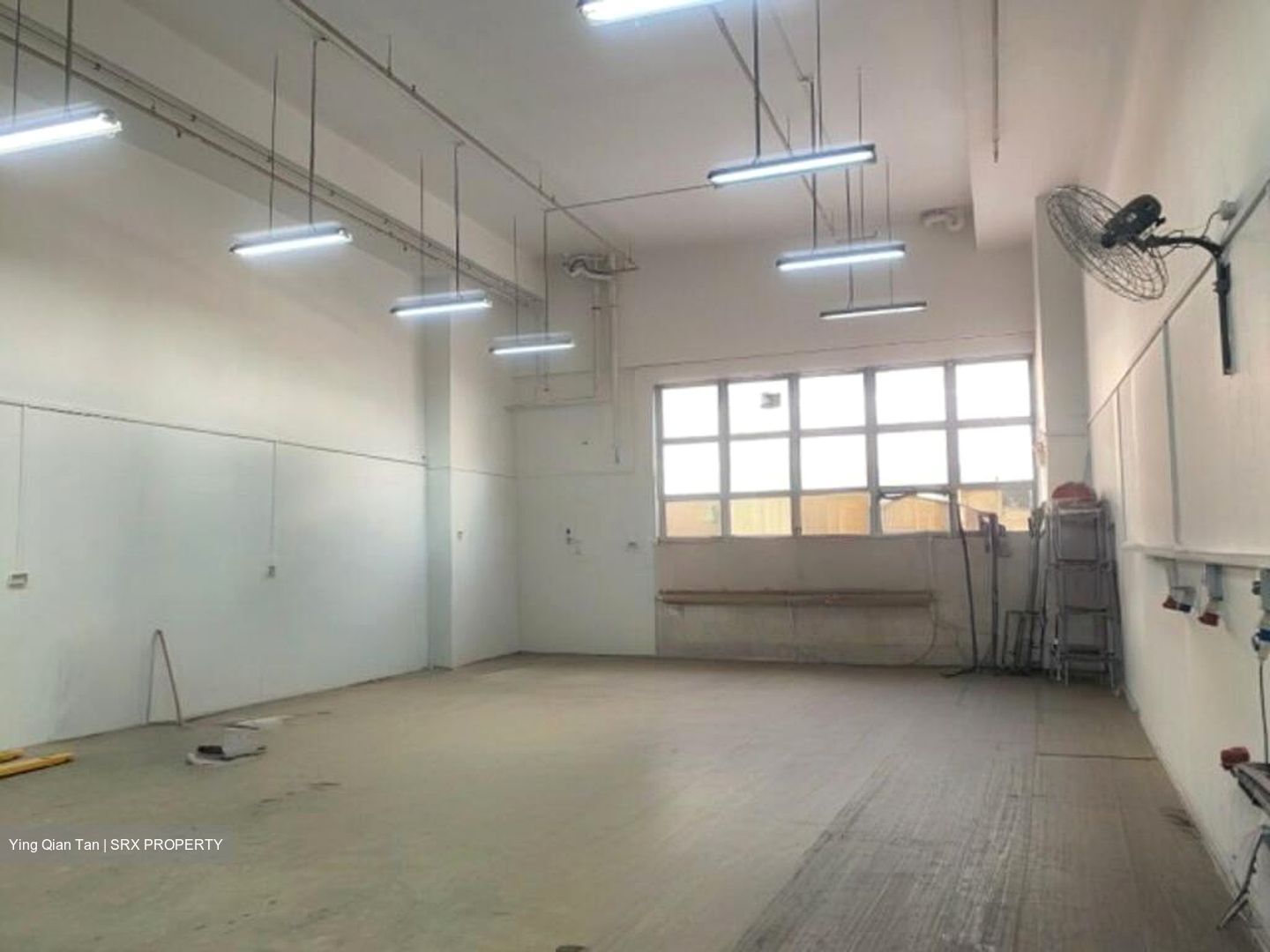 North Spring Bizhub (D27), Factory #526288691